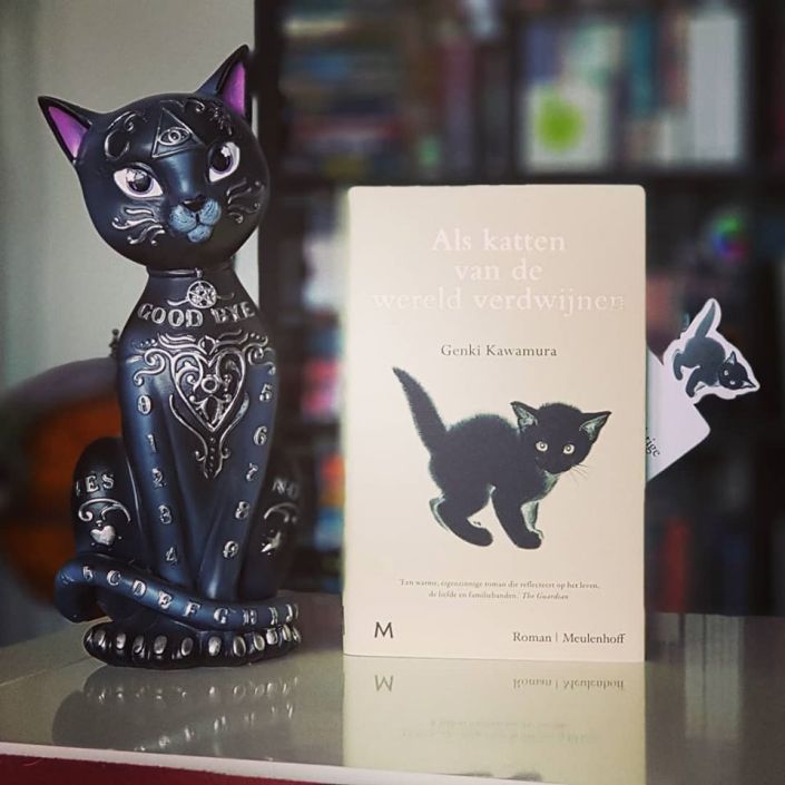 Als katten van de wereld verdwijnen 2.jpg