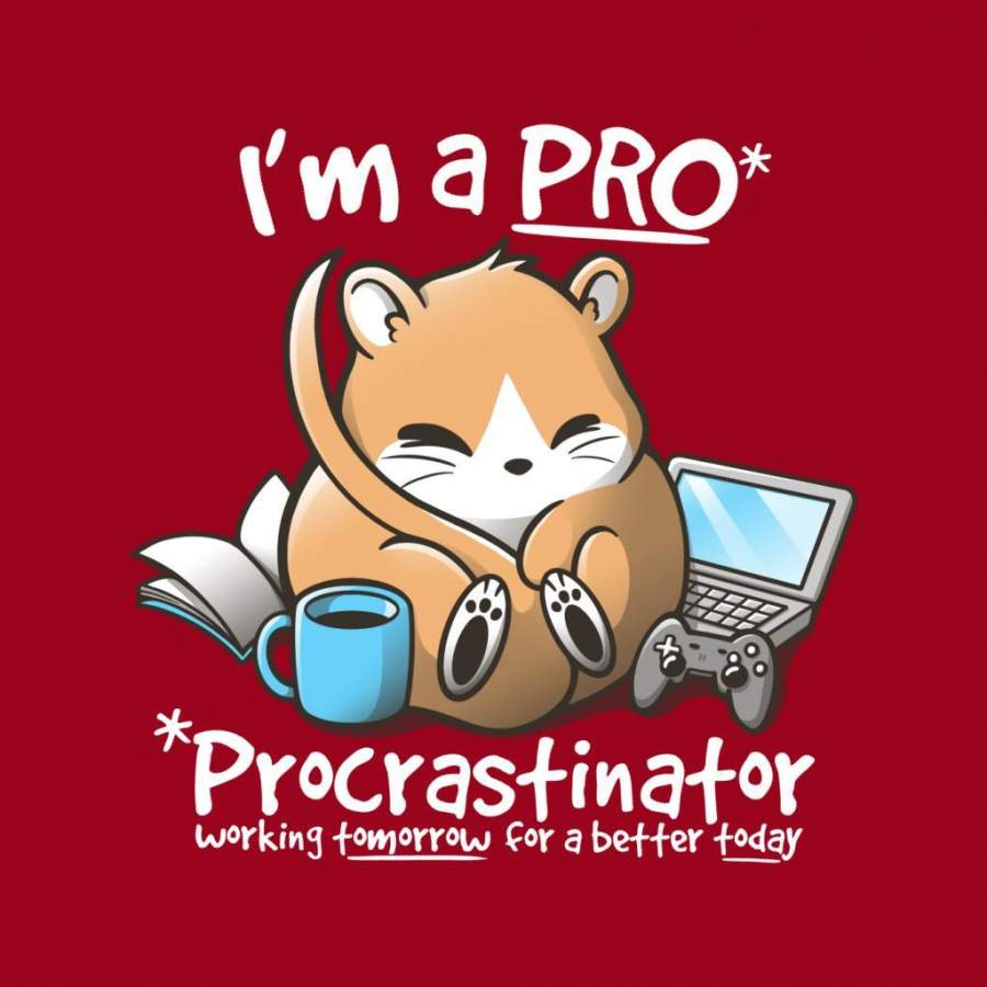 Pro Procrastinator