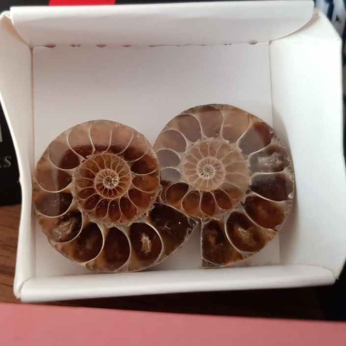 IMG_20211225_133835_508