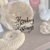 Monday Musings 14&nbsp;2022