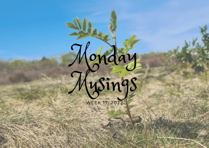 Monday Musings #17