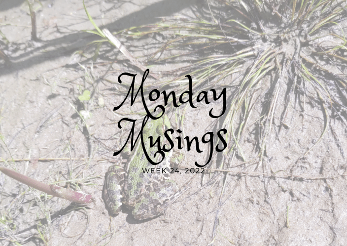 Monday Musings 24
